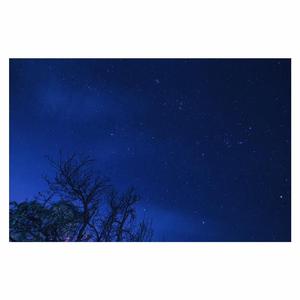 每日大赛 反差大赛 官网
